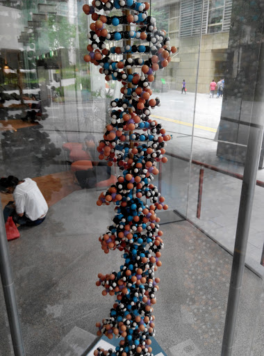 Matrix DNA