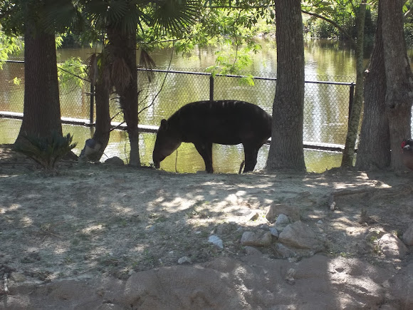 Spotting Image 1