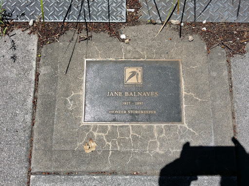 Jane Balnaves 1817-1897