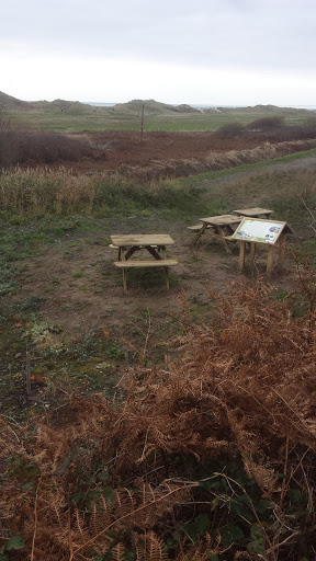 Picnic Area of Mysterious Origin