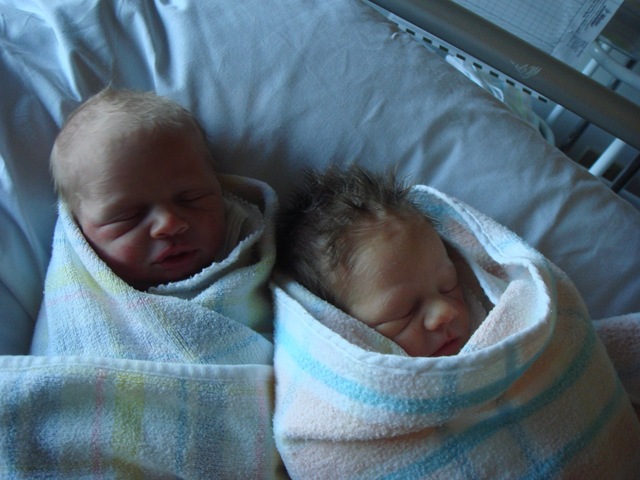 [twins[8].jpg]