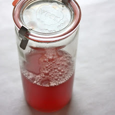 Rhubarb Cordial