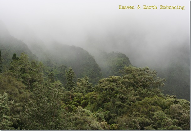 Heaven & Earth copy