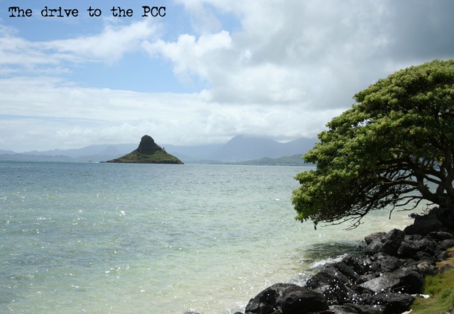 [Drive to the PCC[5].jpg]