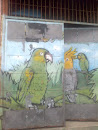 Boturussu — Arte das Aves