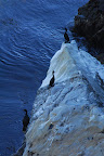 dsc_2552.jpg