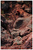 Brian, or just another rock?
