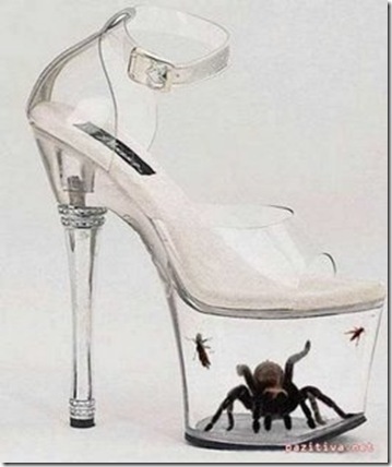 zapatos2