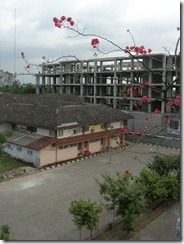DSCN7732