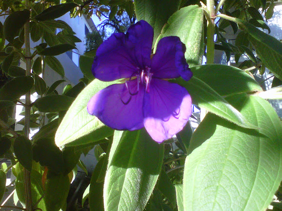 Spotting Image 1