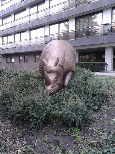 Rhinocéros En Bronze