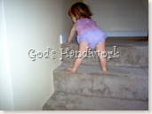 God's Handiwork