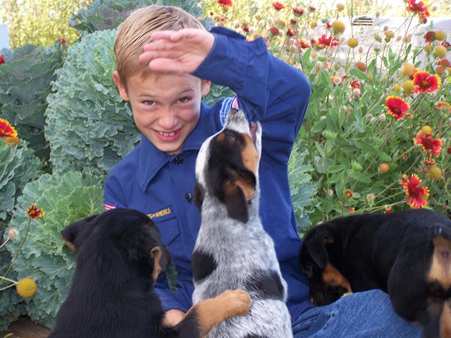 [09 01 08_2314[5].jpg]