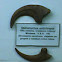 Deinonychus' Claws