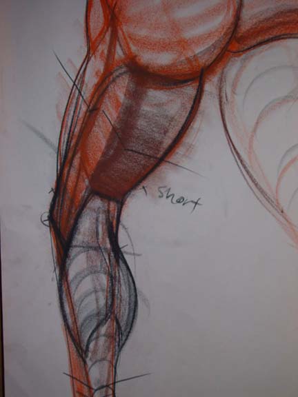 Charles Hu Figure Drawing Lecture*updated 4/21/2011* Charles Hu Figure Drawing Lecture*updated 4/21/2011*