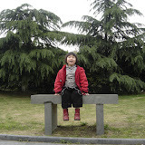  2008浒山街边公园拍的照片