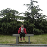  2008浒山街边公园拍的照片