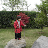  2008浒山街边公园拍的照片