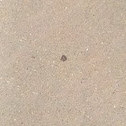Unknown spotting