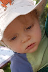 picasa image