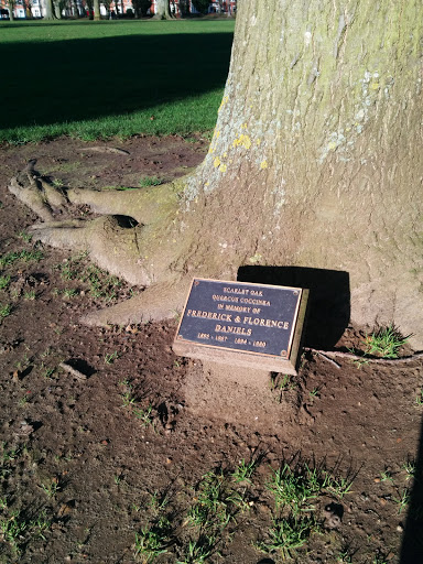 Frederick and Florence Memorial Tree