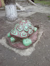Turtle Stone