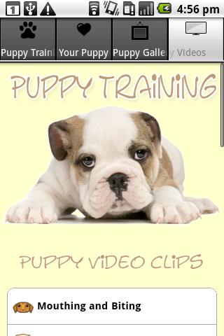 Puppy Training Tips