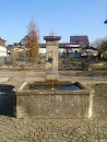 Gossau Fountain 