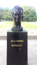 Busto Alejandro Humboldt