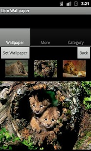 How to download Lion Wallpaper lastet apk for android