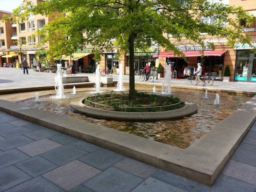Springbrunnen am Rathausmarkt