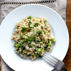Creamy Spring Barley