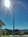 Somes Island Wind Turbine