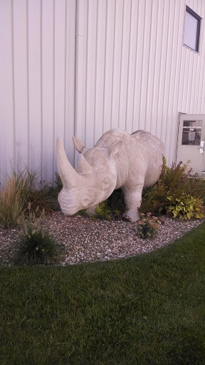 Cement Rhino Statue.