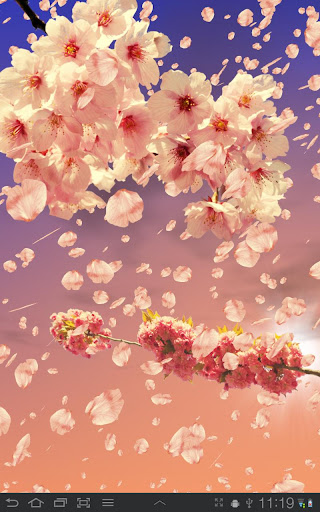 【免費個人化App】Sakura Free Live Wallpaper-APP點子