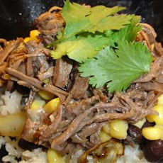Kris' Amazing Shredded Mexican Beef