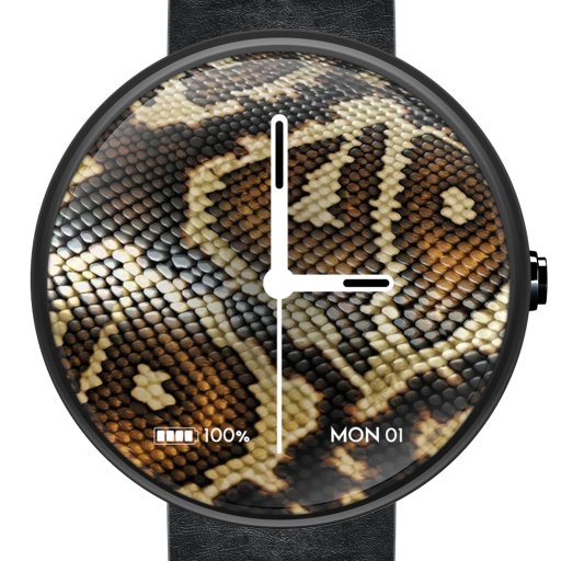 Leather: Elegant Watch Face