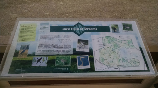 Bird Field of Dreams