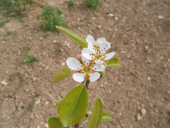 Spotting Image 1