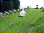 zorbing.jpg