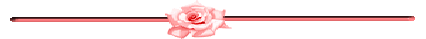 barrinha13