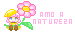 AMO NAT