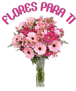 flores_46