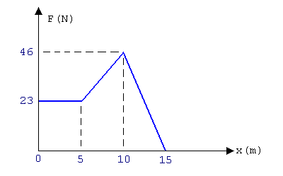 UNI 2007 II - FIS  - 20