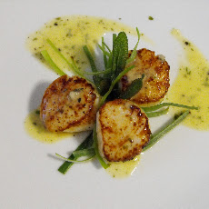 Pan Seared Sea Scallops w/ Sage Beurre Blanc