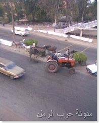 صورة020