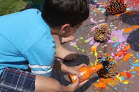 Splatter Paint Pine-Cones