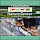 Wood Lake Naturalist