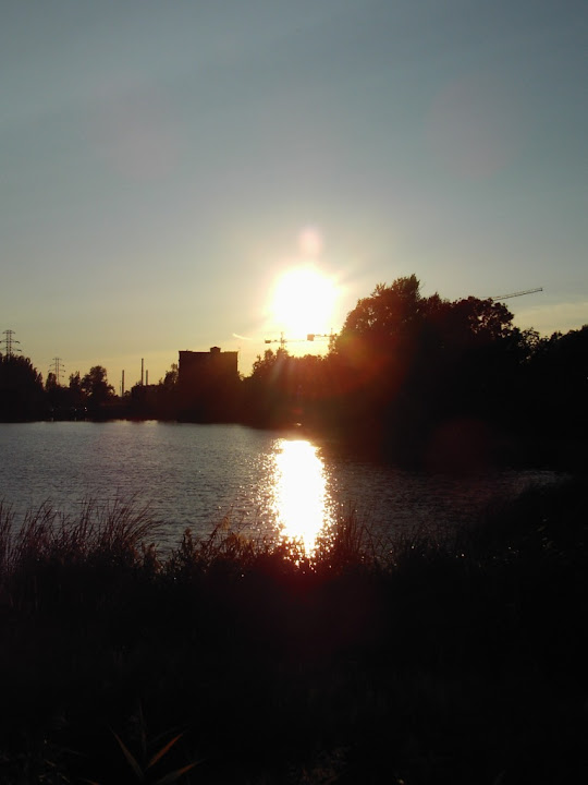 pic00390.jpg