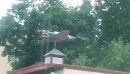 Plane on the Roof